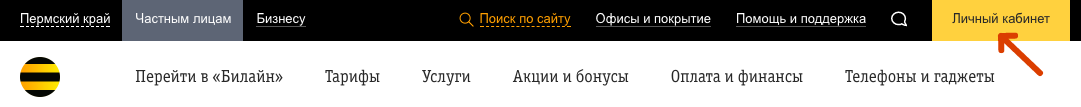 Проверка баланса часов Билайн