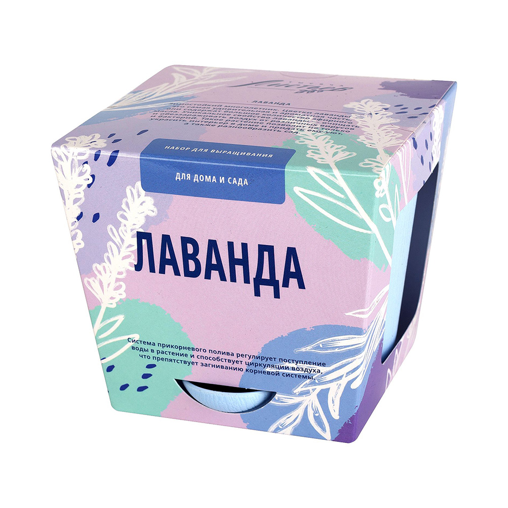 комнатные растения для детей