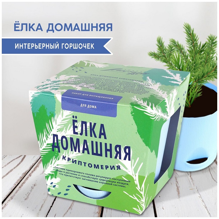 комнатные растения для детей