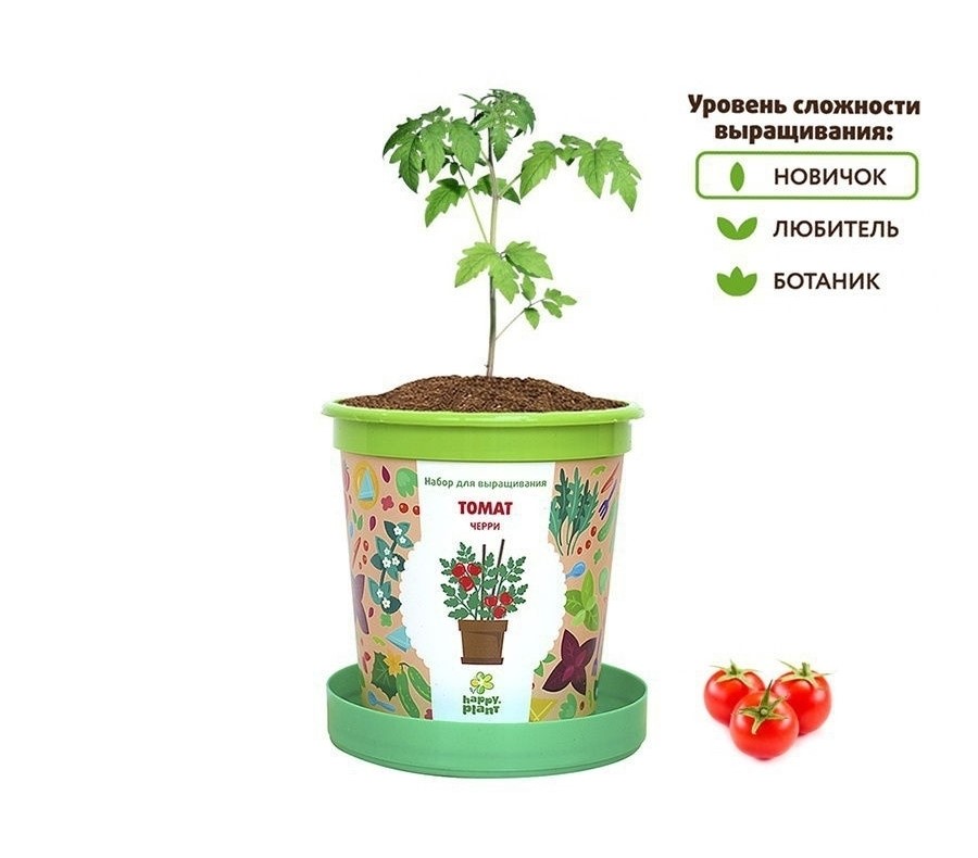 огород на подоконнике для детей