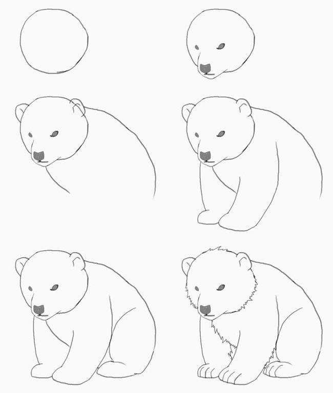 красивые рисунки мелками на асфальте