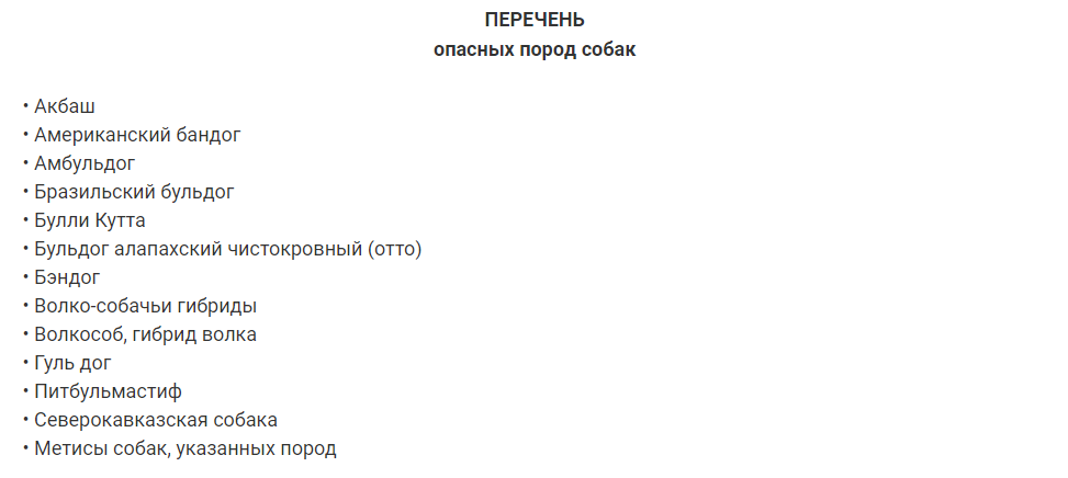 породы собак для квартиры и детей