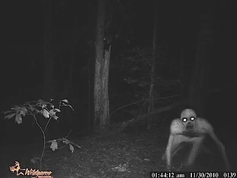 The Rake