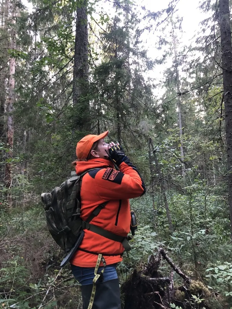 Как не заблудиться в лесу Как не заблудиться в лесу: надевать яркую одежду, чтобы быть заметнее