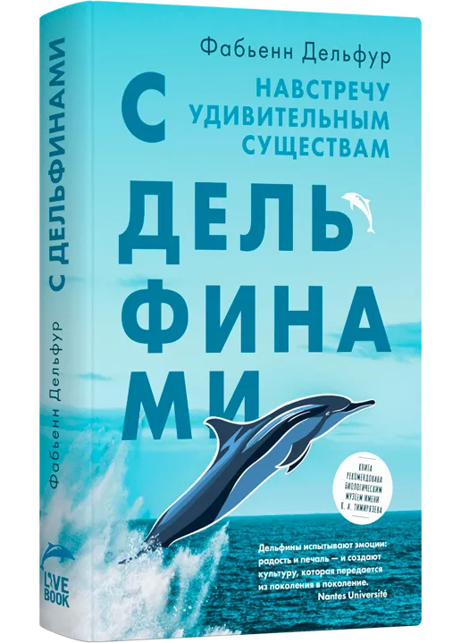 Книга про дельфинов для детей Фабьенн Дельфур «С дельфинами. Навстречу удивительным существам»