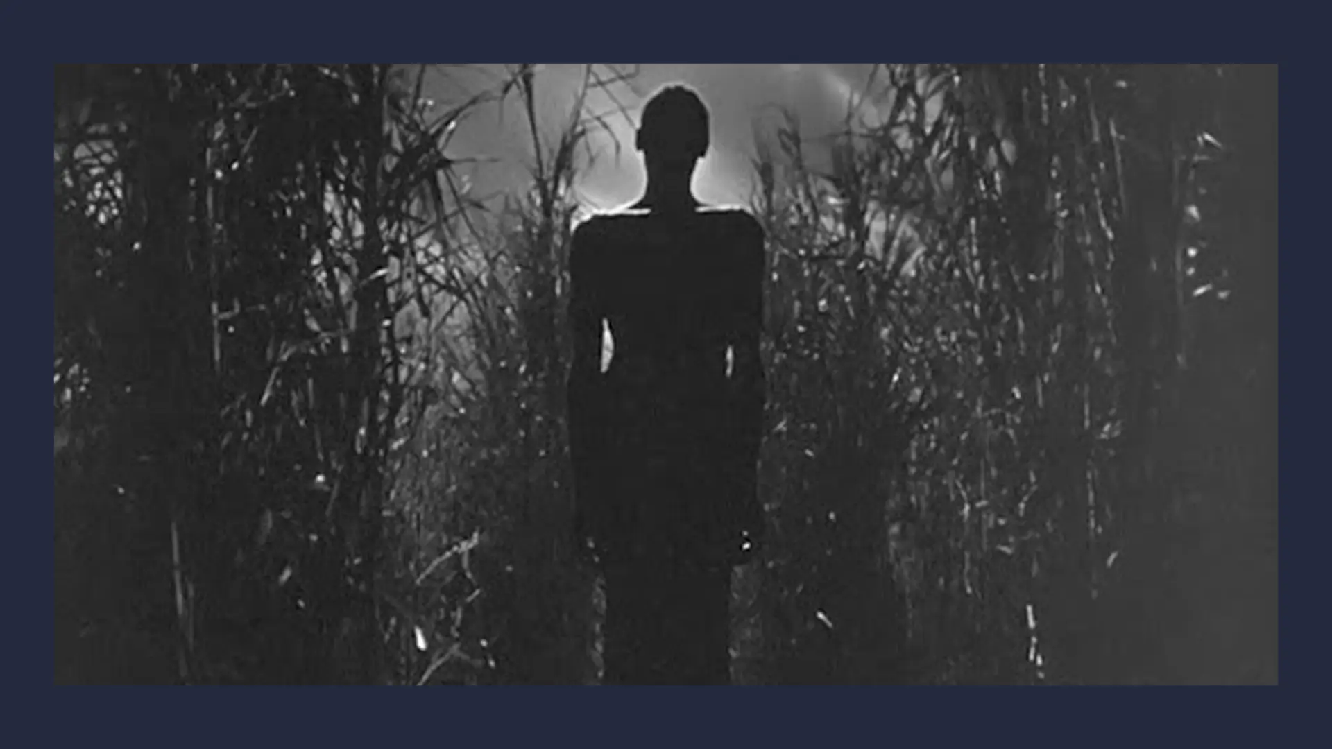 Кадр из фильма «Я гуляла с зомби»