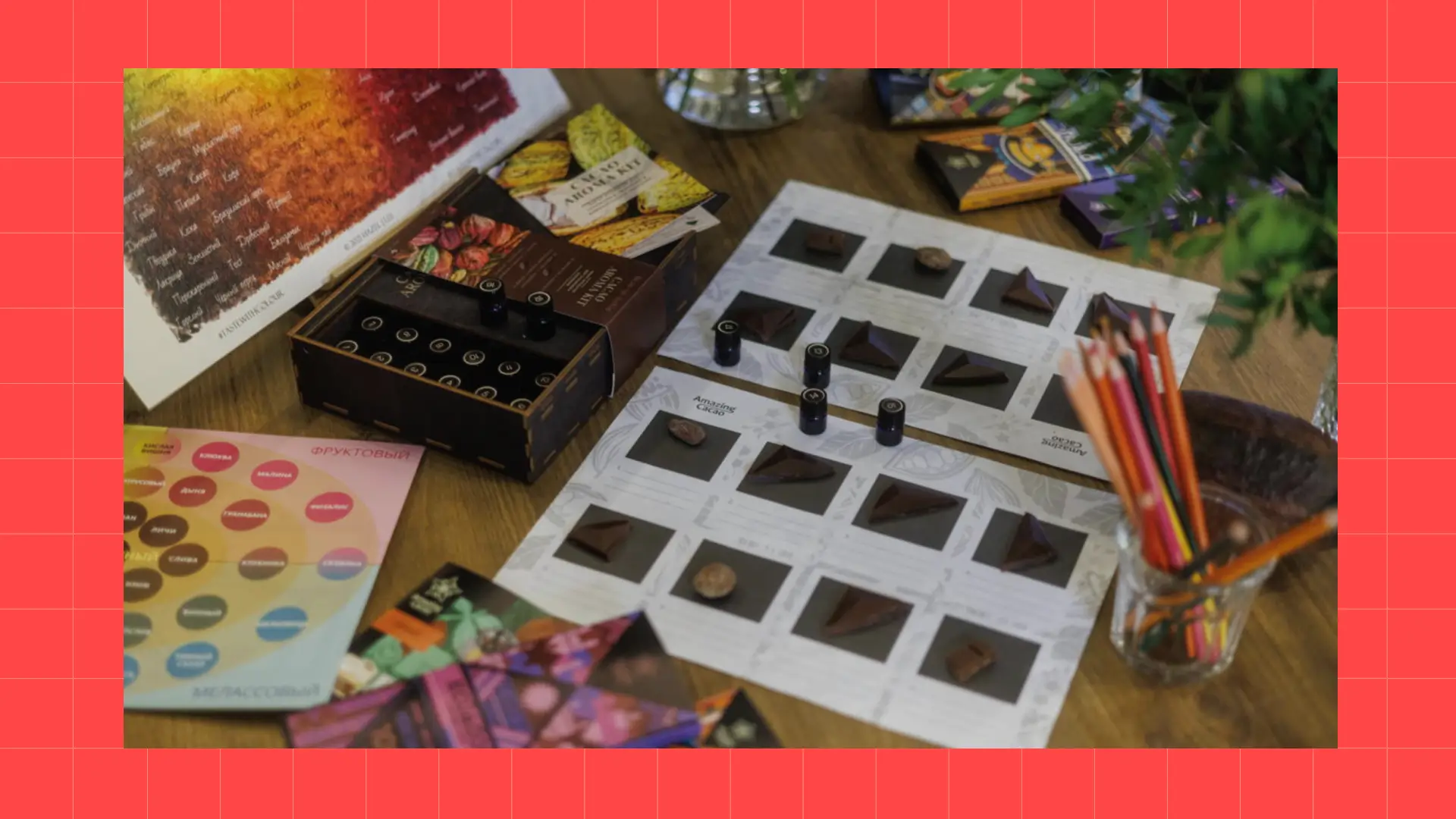 Куда пойти с детьми в Петербурге. Шоколадная фабрика Amazing Cacao