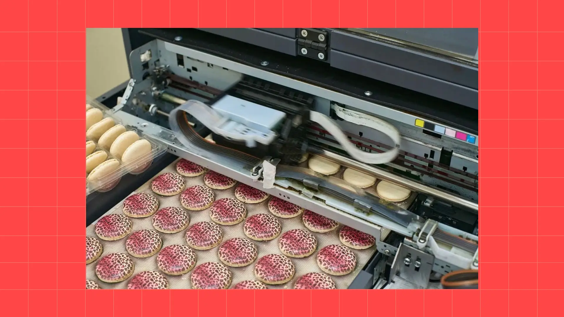 Куда сходить с детьми на каникулах в Спб. Фабрика MACARONIKA