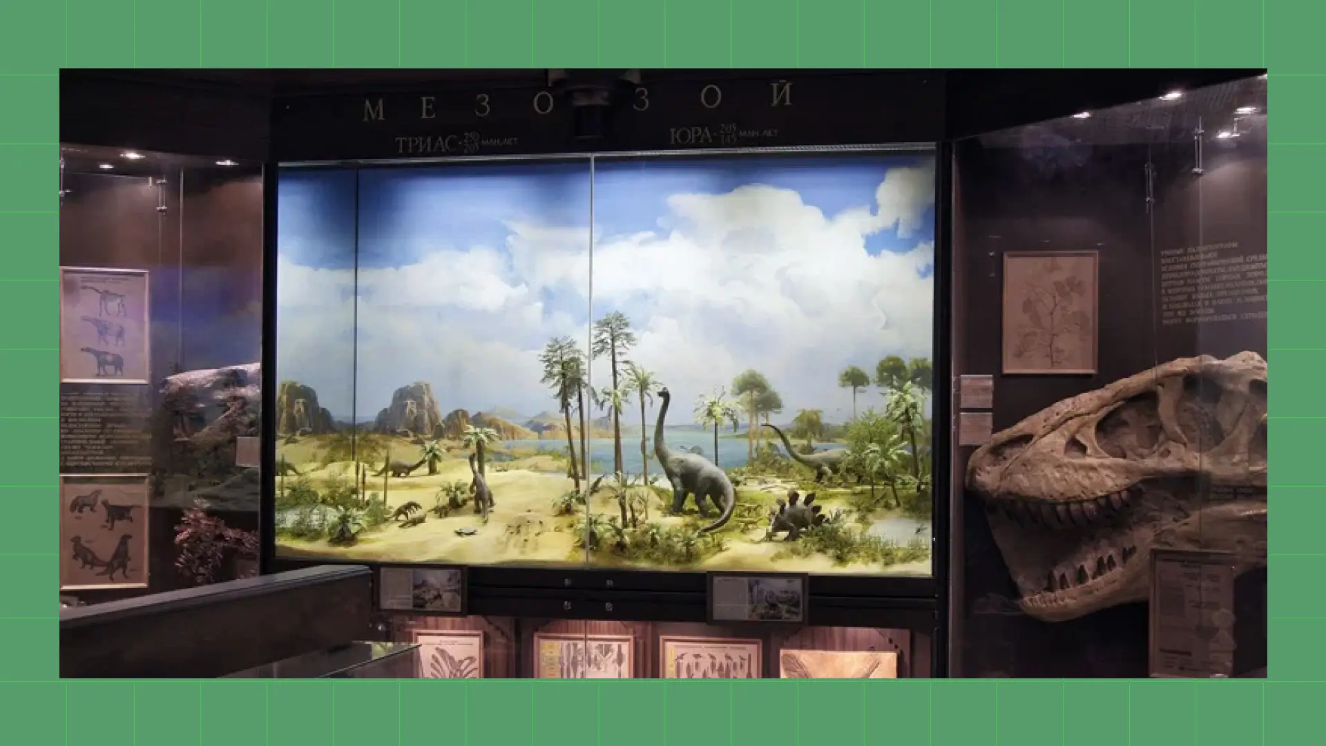 Биомузей Новогодний квест для подростков в Биомузее. Фото: Государственный биологический музей имени К.А. Тимирязева