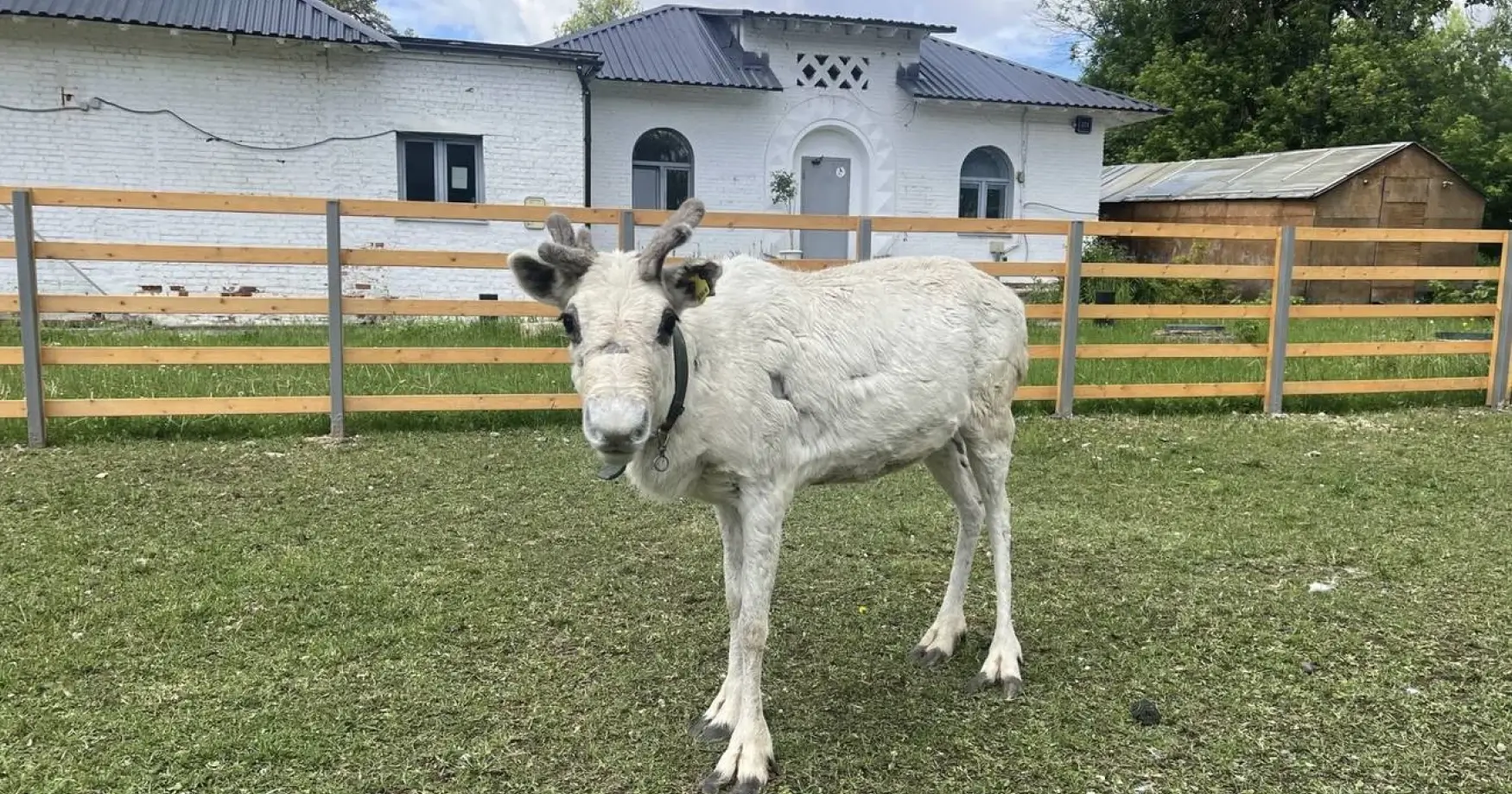 Городская ферма на ВДНХ 